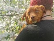 Der kleine Xaver sucht seine Familie - München