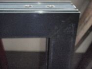 F-30 Fenster - Ulmen