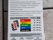 Sattelstütze "Byschulz" - Berlin Treptow-Köpenick
