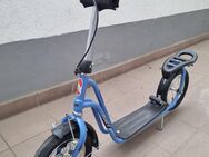 Kinder Tretroller PUKY hellblau - Groß Gerau