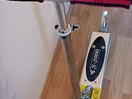 S-2000 City Scooter, Kickboard, Roller - Hürth