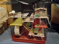 Hamsterkäfig - Lampertheim