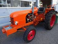 OLDTIMERTRAKTOR RENAULT D30 1959 - Frauenfeld