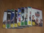 verkaufe The Big Bang Theory Staffel 1 - 9 - Rodgau Zentrum