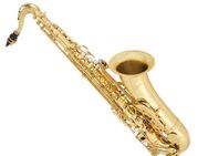 Antiqua TS 4240 LQ GH PRO WOODWIND Tenorsaxophon, Neuware - Hagenburg
