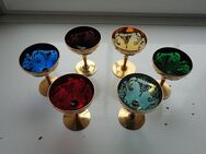 Römer Champagner-/Sektschalen, exklusive Gläser, 6 Stück , 6 Farben - Bergheim (Nordrhein-Westfalen)