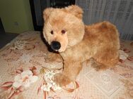 Verkaufe Steiff Molly Braunbär - Bad Hersfeld