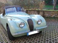 Jaguar XK 120 OTS Cabrio Eine wilde Katze sucht neues Zuhause - Nümbrecht