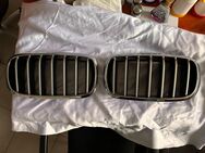 BMW X Chrome Nieren Kühlergrillgitter (7 Stäbe - silber) - Sinzheim