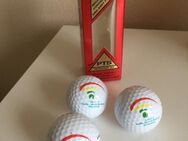 Golfbälle Titleist PTS Wound 90 - Bremen