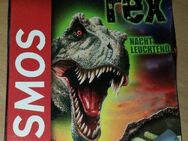 Giganten der Urzeit: Nacht leuchtend Tyrannosaurus Rex - Verden (Aller)