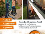 Dachrinnenreinigung in Berlin & Umgebung - Berlin