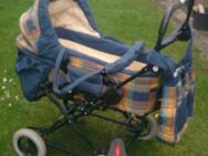Teutonia Kinderwagen blau-kariert - Hamburg