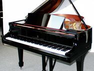 Flügel Klavier Steinway & Sons M-170, schwarz poliert, Nr. 216916, 5 Jahre Garantie - Egestorf