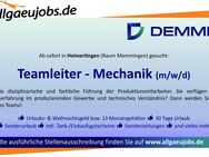 Teamleiter - Mechanik (m/w/d) - Heimertingen