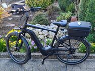 e Bike Pegasus Strong Evo 12 Lite 750Wh Trekking 28" 60cm Black - Altrip