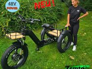 Elektro Dreirad Zemto-Revom Trike T2, Gas-Funktion, breite Reifen Neuheit - Emmerich (Rhein)