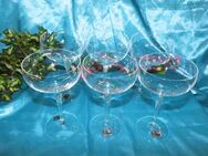 6 Stk. SPIEGELAU Sektschalen, Sekt- Glas, Kristallglas Serie Ballerina / wie Neu - Zeuthen