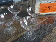 Likörgläser 4 Neue - pro Glas 1 Euro - Wendlingen (Neckar) Zentrum
