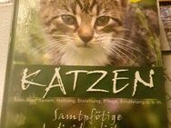 Katzenbuch alles über Rassen,Erziehung u.s.w - Zerbst (Anhalt) Zentrum