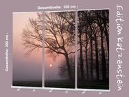 Roll-Up Display 3er-Set "Bäume vor Sonnenuntergang" - 300 x 200 cm - Bestatterbedarf, Dekoration: - Wilhelmshaven