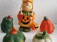 Herbst Deko aus Keramik? - Kassel Bad Wilhelmshöhe