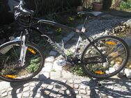 sehr leichtes Alu - Marken - MTB ( STUMPJUMPER ) - Germering Zentrum