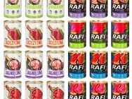 48x Mix Premium Hundefutter Nassfutter Mix Vital Rafi Dose je 400g Set2 - Wuppertal