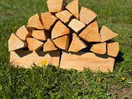 Premium Buche 33 cm ofenfertig & trocken Holz Kaminholz - Lauterstein