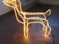 Rentier 3D-Lichterschlauch-Figur Deko Weihnachtsdeko 9,- - Flensburg