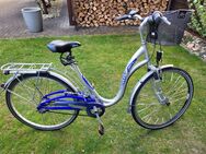 1 Hercules Zona Blu Fahrrad blau/silber 28er - Bergen (Niedersachsen)