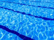 Schwimm-Kumpel gesucht - Oldenburg
