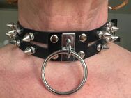 Steampunk Gothik Halsband mit Ring und Nieten verziert - Marl Zentrum