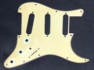 Stratocaster Pickguard Vintage - Hamm