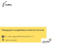 Pädagogisch ausgebildete Fachkraft (m/w/d) - Holle