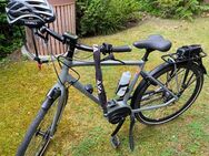 E-Bike Bosch plus - Schwielowsee