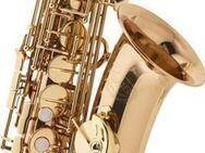 Jupiter Goldmessing Altsaxophon in Eb/Es "Sound Explosion", Modell 769 RL. NEUWARE - Hagenburg