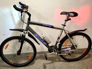 MTB - BULLS 26 Zoll, 21 Gang SHIMANO. Wie Neu. ALU. - Waldshut-Tiengen