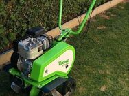 Gartenfräse Viking VH550 mieten - Eschweiler