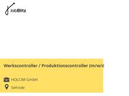 Werkscontroller / Produktionscontroller (m/w/d) - Sehnde