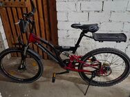 Fahrrad Top Zustand - Wörth (Rhein)