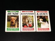 Katzen Hunde Kleintiere - Leben mit Tieren - Ratgeber Kinderbücher - Nürnberg